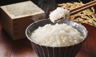 米饭怎么做好吃又营养 米饭好吃又营养的做法