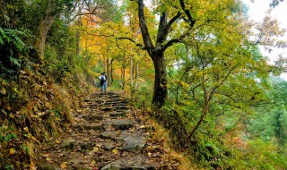 南黄古道游记（浙江南黄古道游记）