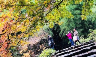 南黄古道有什么风险 黄南古道和南黄古道有什么区别