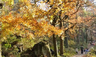 南黄古道徒步坡道多吗 黄南古道自驾攻略