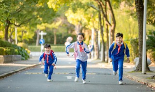 学生证编号怎么填写 怎么填写学生证编号