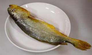 大黄花鱼怎么做好吃 你知道吗
