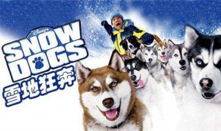 狗拉雪橇的电影叫什么 你知道吗