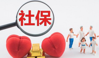 怎么查公司交的社保 微信怎么查公司交的社保