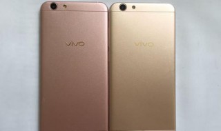 vivoy81分辨率多少（vivoy81s屏幕分辨率是多少）