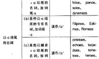 辅音字母加o结尾的名词变复数（辅音字母加o结尾的名词变复数 皆可）