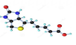 哪些物质的生物合成不需要信息分子作为合成模板 进来看看