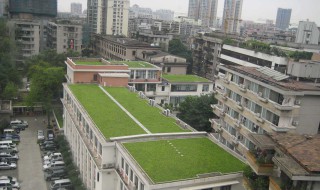 楼顶无土种植知识 楼顶无土栽培