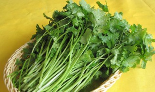 香菜为什么风行世界（世界上就是有人讨厌香菜）