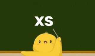 XS是什么意思（XXS是什么意思的缩写）