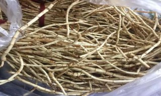 营养价值 营养价值高的食物