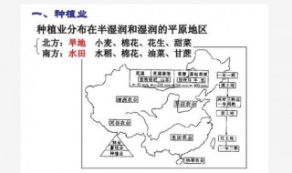 北方地区的种植业类型（北方地区的种植业类型为）