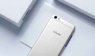 vivoy67支持电信卡吗 vivoy67a可以用电信卡吗