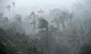 狂风暴雨是属于哪个季节的成语 狂风暴雨是属于哪个季节的成语呢