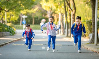 一年级学生如何进行有效阅读（一年级学生如何进行有效阅读的培养）