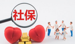 社保个人代码怎么查询（社保个人代码怎么查询个人账户）