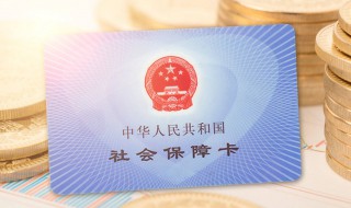 公司社保编号怎么查（公司社保编号怎么查询公司名称）