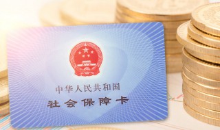 个人怎么申请社保卡 个人怎么申请社保卡银行卡