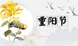 重阳节赏菊古诗 重阳赏菊的诗