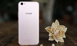 vivo健康使用手机在哪（vivo健康使用手机在哪里）