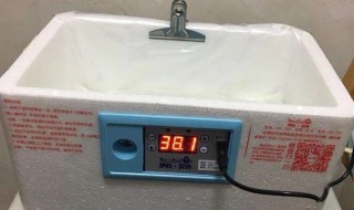 水床孵化湿度怎么控制 水床孵化怎样控制湿度