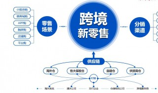 企业如何培养跨境电商人才（企业如何培养跨境电商人才需求）