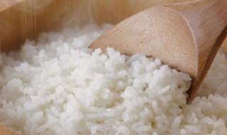 不吃米饭可以减肥吗（吃菜不吃米饭可以减肥吗）