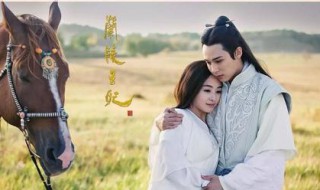 兰陵王妃讲的是什么故事情节（兰陵王妃主要讲了什么剧情）