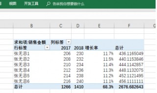 透视表里怎么写增长率 透视表怎么增加占比