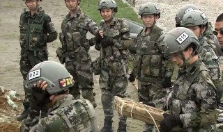 特种兵之火凤凰演员表 特种兵之火凤凰演员表全部 女演员