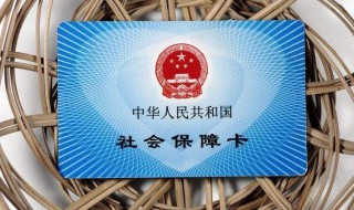 个人社保电脑号怎么查询 个人社保电脑号怎么查询不到