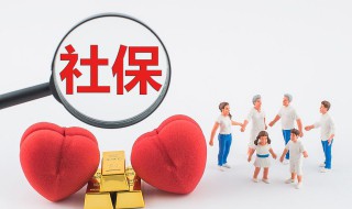 社保卡账号怎么查询（电子社保卡账号怎么查询）