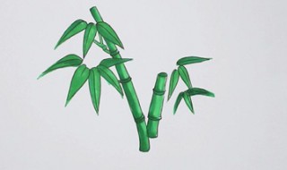 竹子怎么画 竹子怎么画 马克笔