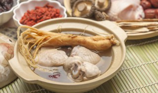 鸽子和老母鸡可以一起炖吗（鸽子和老母鸡可以一起炖吗百度百科）