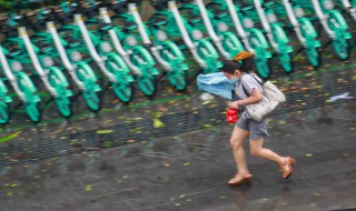 大暴雨预兆（暴雨的预兆）