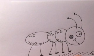 梦到蚂蚁是什么意思 梦到蚂蚁是什么意思啊
