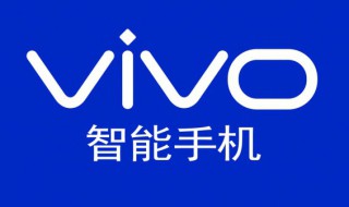 vivoy55首选安装位置在哪（vivoy55a下载位置怎么设置）