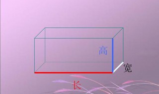 长方体有4组长宽高对吗 长方体的长宽高各有四条对吗