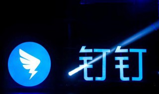 笔记本电脑下的钉钉不能看直播（笔记本电脑下的钉钉不能看直播怎么办）