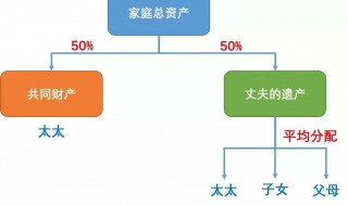 遗产继承分配比例 遗产继承分配比例图