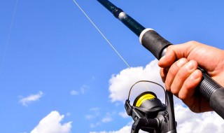 深坑怎么钓鱼 深坑怎么钓鱼视频