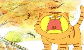 秋老虎是怎么形成的（什么是秋老虎,秋老虎是怎么形成的）