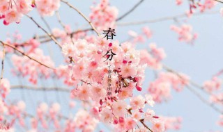 春分下雨还会冷吗（春分一定会下雨吗）