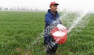 复合肥撒施技巧（复合肥可以直接撒施吗）