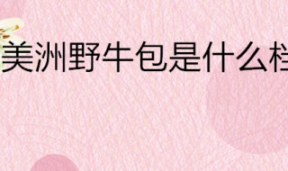 美洲野牛包是什么档次（美洲野牛包包是几线品牌）
