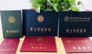 大专是什么学历与文化程度（大专文化还是大专学历）