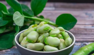 蚕豆是什么植物（蚕豆是什么植物的果实）