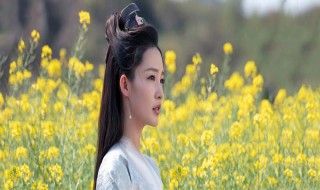 林婉儿身份为什么不能公布（林婉儿身世）