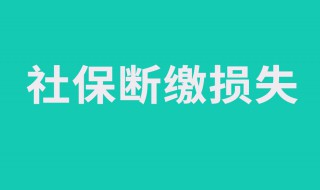 辞职不干了社保怎么办（辞职不干了社保怎么办没有社保卡）