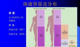 最简单反映体液量是否补足的指征是 纠正体液平衡紊乱时对补液量描述正确的是